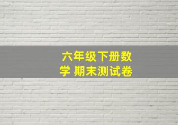 六年级下册数学 期末测试卷